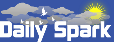 Daily Spark Logo